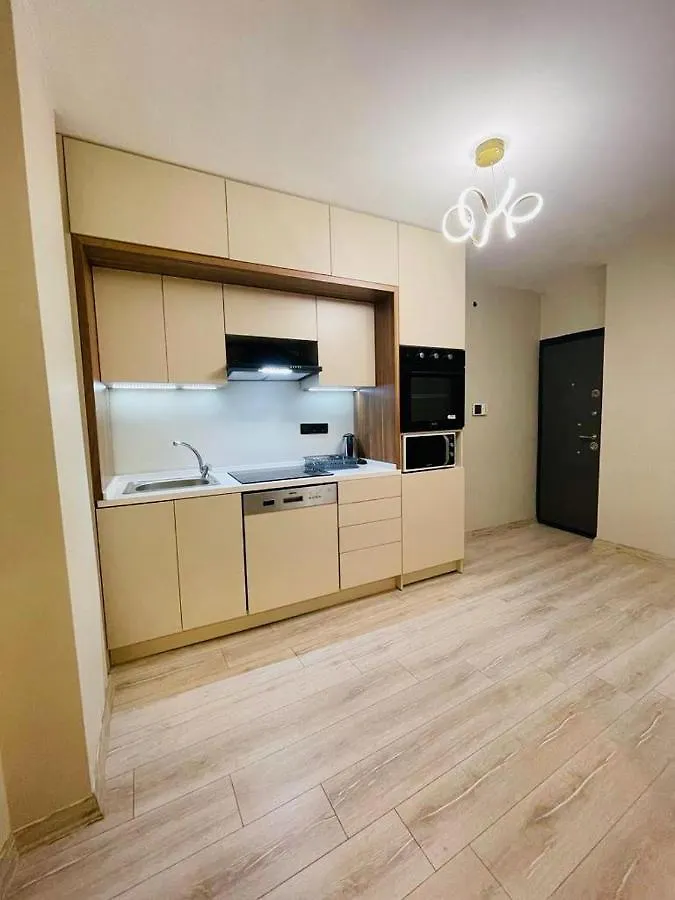 Apartment City Center Apartment, Sisli, Near Metro Istanbul Turkey